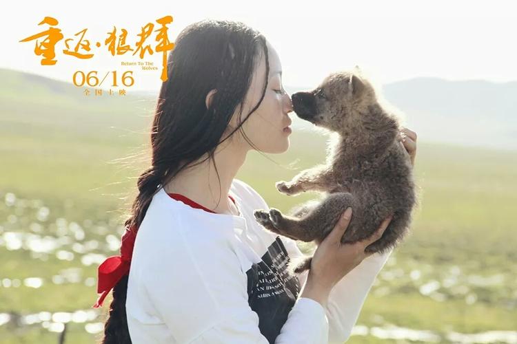 俄禁止民众养狼和熊,俄罗斯不允许养熊
