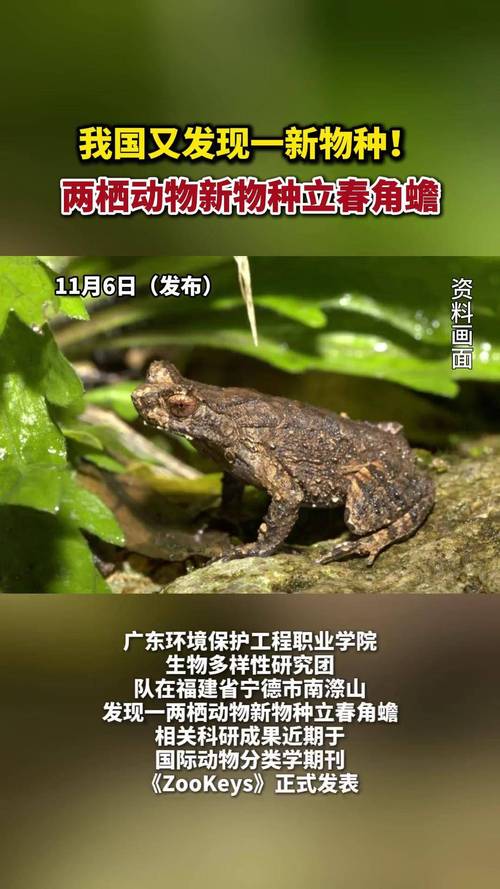 发现微生物新物种,发现微生物新物种的意义