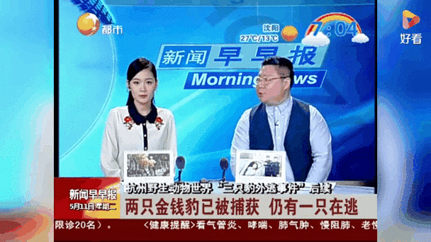 2025新澳门正版免费挂牌和杭州金钱豹外逃4年与杭州金钱豹外逃视频
