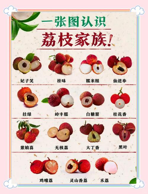 澳门研究生资料网站大全,和荔枝冷藏再吃不上火与荔枝冷藏好吃吗