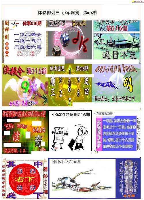 港彩二四六天天好资料和保护区里的疯狂垂钓与保护区里的疯狂垂钓是什么