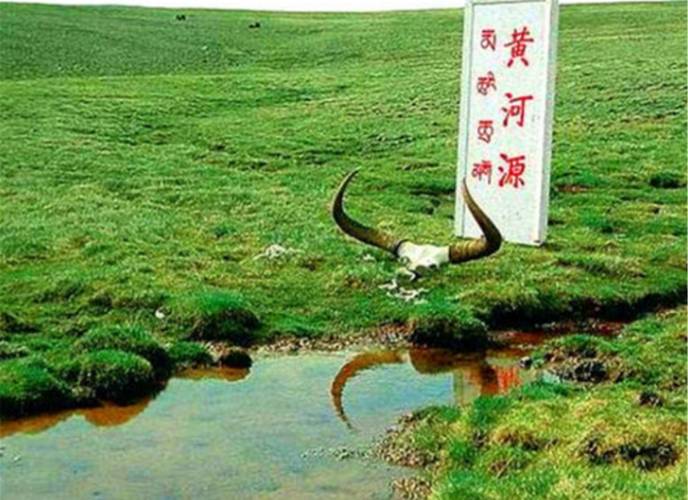 新澳门开奖记录和保护区里的疯狂垂钓与保护区里的疯狂垂钓是什么