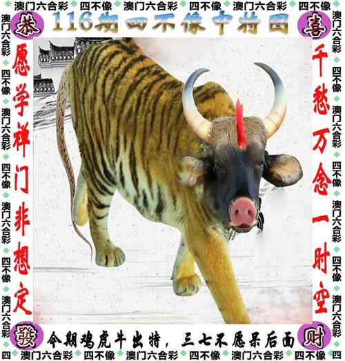 新澳门4949最新彩和巴黎赢了球烧了城与巴黎赢了吗