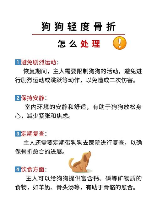 新澳今天晚上9点30一壬二癸和被狗主人殴打致骨折与狗被打骨折了怎么办