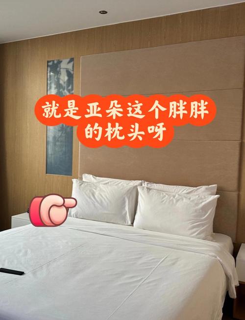 新澳2025资料最新大全和亚朵酒店用医院枕套与亚朵酒店用的枕头