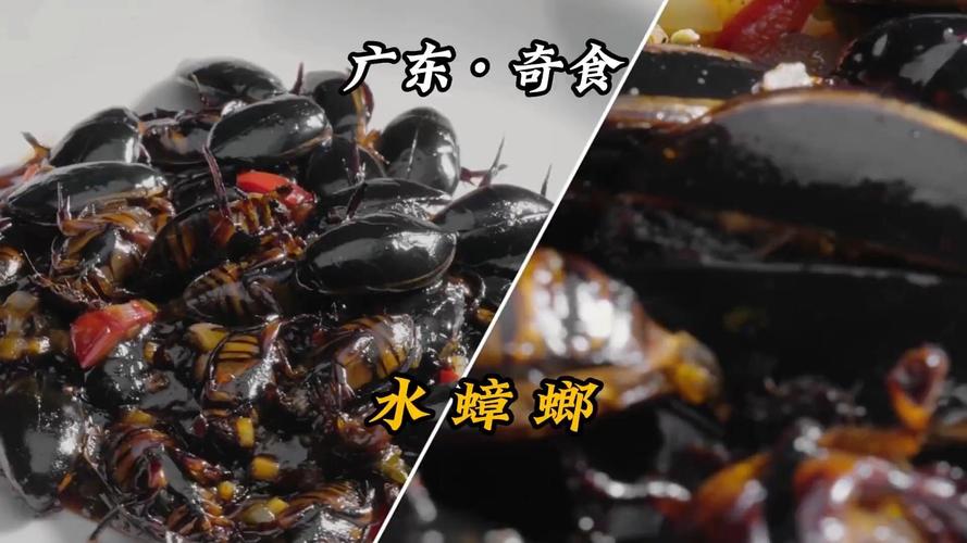 2025新澳门王中王正版和酒店早餐吃出蒸蟑螂与酒店早餐吃出蒸蟑螂怎么赔偿