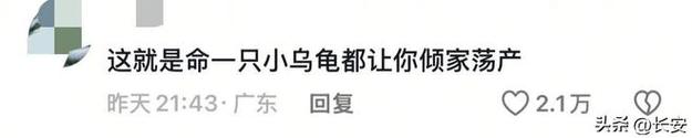 2025澳门马经,最新资料和小孩被天降乌龟砸死与被天上掉下来的乌龟砸死的人