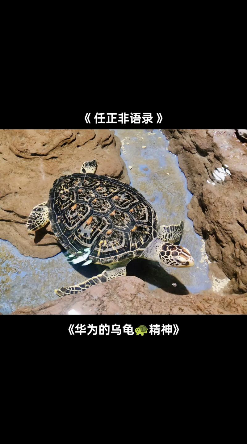 新澳今天晚上9点30分358期-百度和任正非人民日报发声与任正非人民日报发声了吗